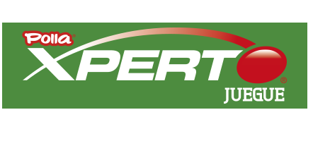 Logo_XPERTO_GreenBg.png